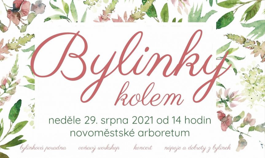 Bylinky kolem